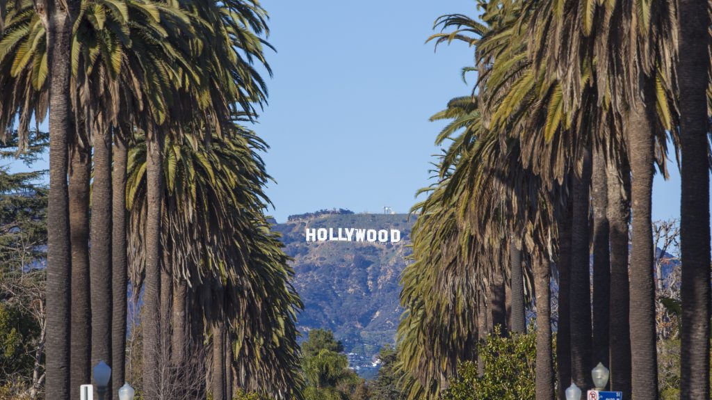 How Palm Trees Arrived In California