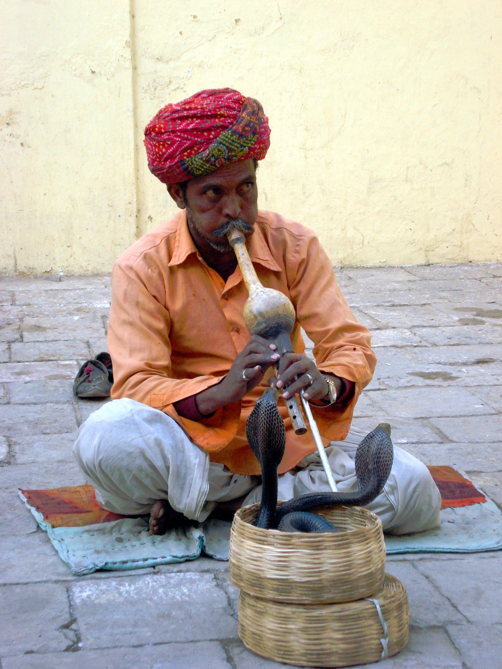 Charmeur_de_serpents_à_Jaipur_(2)