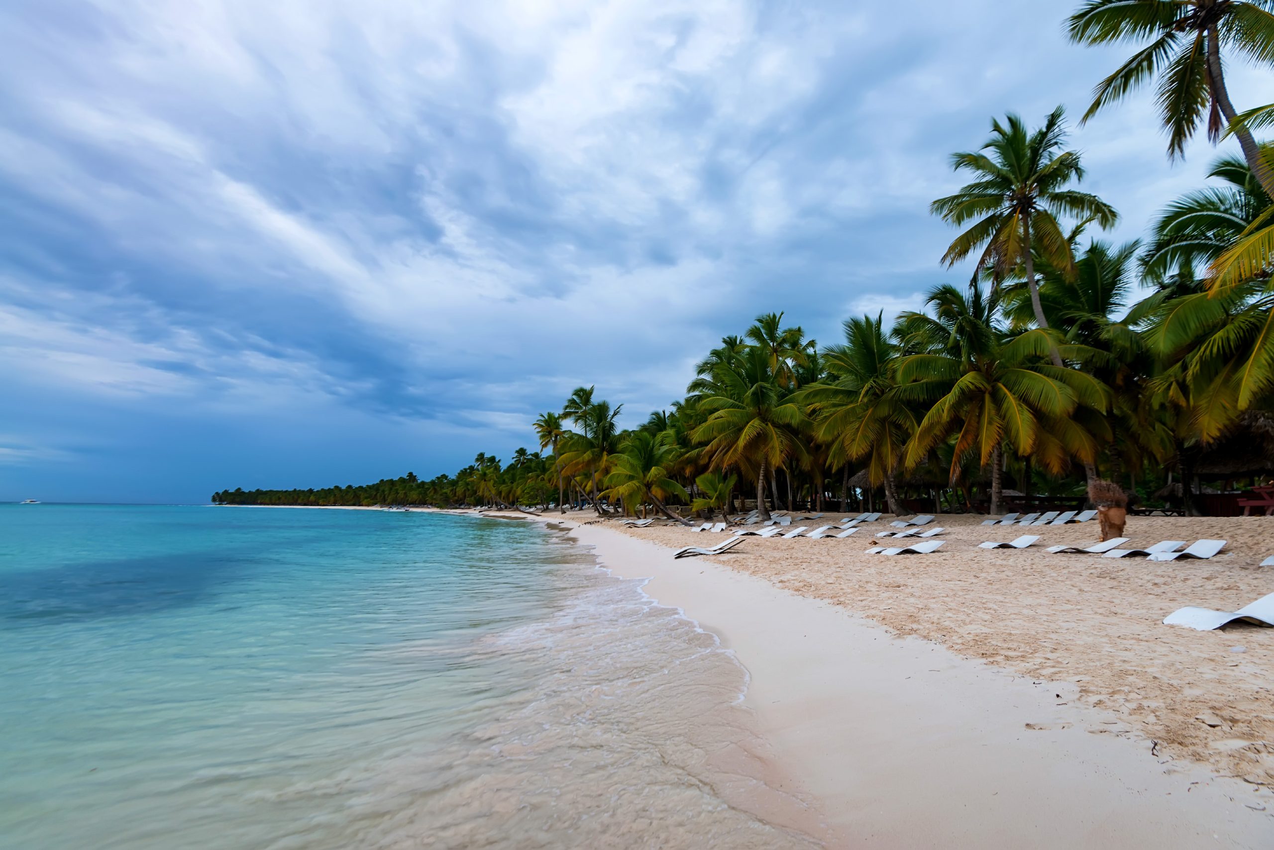 Romantic vacation on a tropical beach with palm trees and ocean