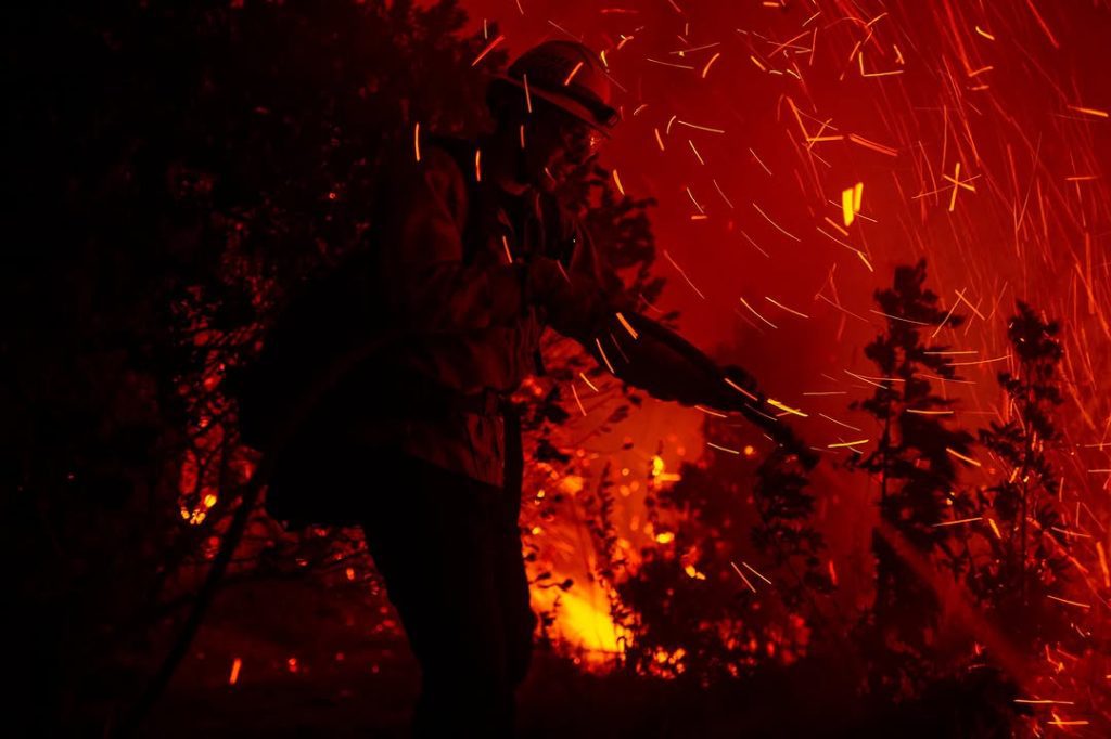 Inferno in the Heart of Los Angeles: The Who, What, and Why of California’s Current Fire Problem