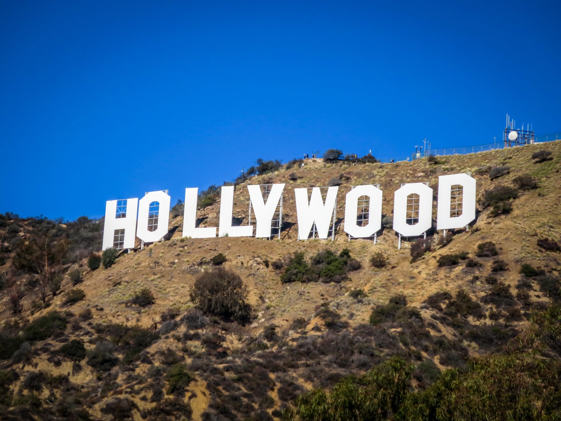 Opening the Gates: Why Hollywood Needs a More Level Playing Field for Creative Voices